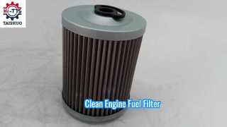 FF5584 P550839 7029275 20549350 Filtro de combustible