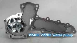Bomba de agua V2403 V2203