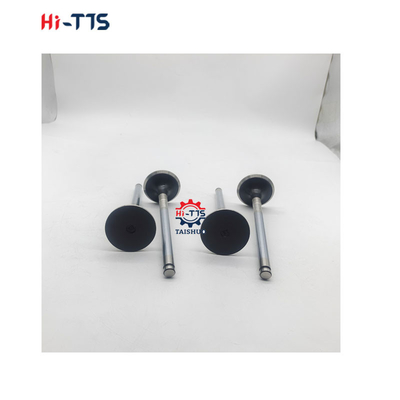 D2366 Válvula de admisión para motores diesel 6504101-0044