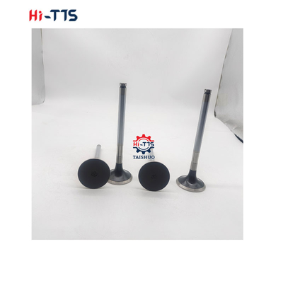 D2366 Válvula de admisión para motores diesel 6504101-0044