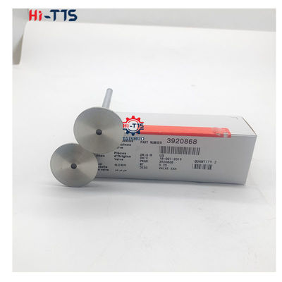 Buen precio 4BT 6BT 6D102 Válvula de admisión del motor diesel Válvula de escape 4995554 3901117 3920867 3920868 en línea