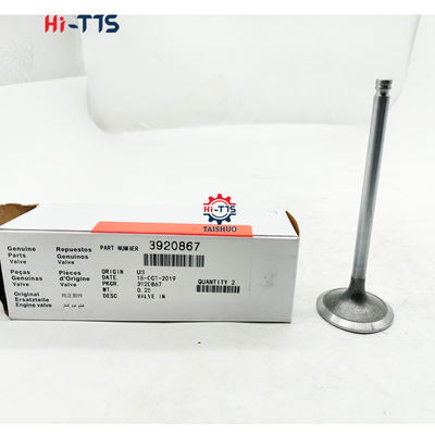 Buen precio 6BT 3920867 Válvulas para motores de excavadoras para el mercado posventa Válvulas para válvulas de escape en línea